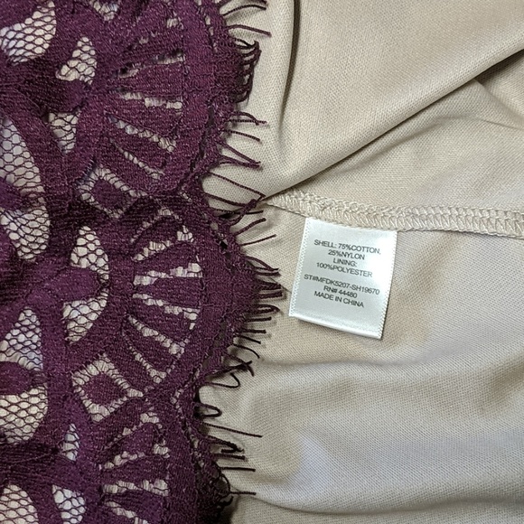 Love Fire Lace Shift Dress - Picture 5 of 5